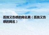 孤独又伤感的网名男（孤独又伤感的网名）