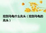 捡到乌龟什么兆头（捡到乌龟的兆头）