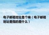 电子邮箱地址是个啥（电子邮箱地址是指的是什么）