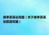 保亭茶溪谷民宿（关于保亭茶溪谷旅游攻略）