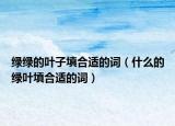 绿绿的叶子填合适的词（什么的绿叶填合适的词）