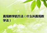 直观教学的方法（什么叫直观教学法）