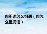 肉组词怎么组词（肉怎么组词语）