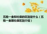 五险一金和社保的区别是什么（五险一金跟社保区别介绍）