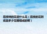 荔枝味的花是什么花（荔枝的花到底是多少花瓣组成的呢）