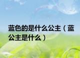 蓝色的是什么公主（蓝公主是什么）