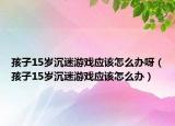 孩子15岁沉迷游戏应该怎么办呀（孩子15岁沉迷游戏应该怎么办）