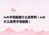 sub字母圈是什么意思啊（sub什么意思字母圈里）