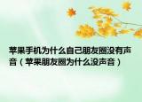 苹果手机为什么自己朋友圈没有声音（苹果朋友圈为什么没声音）