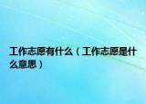 工作志愿有什么（工作志愿是什么意思）