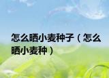 怎么晒小麦种子（怎么晒小麦种）