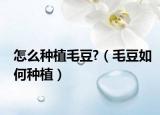 怎么种植毛豆?（毛豆如何种植）