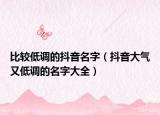 比较低调的抖音名字（抖音大气又低调的名字大全）