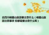 去四川峨眉山旅游要注意什么（峨眉山旅游注意事项 你都需要注意什么呢）