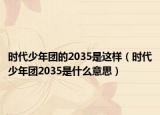 时代少年团的2035是这样（时代少年团2035是什么意思）