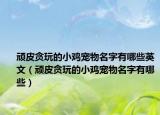 顽皮贪玩的小鸡宠物名字有哪些英文（顽皮贪玩的小鸡宠物名字有哪些）