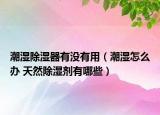 潮湿除湿器有没有用（潮湿怎么办 天然除湿剂有哪些）