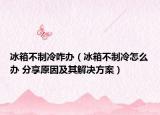 冰箱不制冷咋办（冰箱不制冷怎么办 分享原因及其解决方案）