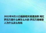 2022年9月11日最新相关报道消息 网红罗百万是什么梗怎么火的 罗百万是哪里人为什么这么有钱