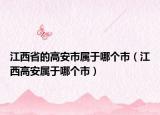 江西省的高安市属于哪个市（江西高安属于哪个市）