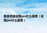 重装系统设置pin什么意思（设置pin什么意思）