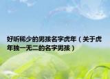 好听稀少的男孩名字虎年（关于虎年独一无二的名字男孩）