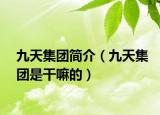 九天集团简介（九天集团是干嘛的）