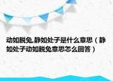 动如脱兔,静如处子是什么意思（静如处子动如脱兔意思怎么回答）