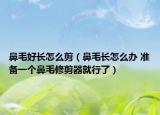 鼻毛好长怎么剪（鼻毛长怎么办 准备一个鼻毛修剪器就行了）
