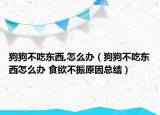狗狗不吃东西,怎么办（狗狗不吃东西怎么办 食欲不振原因总结）