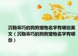 沉稳乖巧的狗狗宠物名字有哪些英文（沉稳乖巧的狗狗宠物名字有哪些）