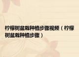 柠檬树盆栽种植步骤视频（柠檬树盆栽种植步骤）