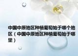 中国中原地区种植葡萄始于哪个地区（中国中原地区种植葡萄始于哪里）