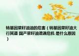 转基因菜籽油油的危害（转基因菜籽油大行其道 国产菜籽油遭遇危机 是什么原因）