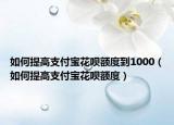 如何提高支付宝花呗额度到1000（如何提高支付宝花呗额度）