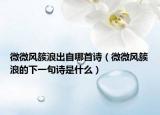 微微风簇浪出自哪首诗（微微风簇浪的下一句诗是什么）