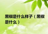黑椒是什么样子（黑椒是什么）
