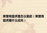 家里有壁虎是怎么驱赶（家里有壁虎是什么征兆）