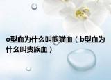 o型血为什么叫熊猫血（b型血为什么叫贵族血）