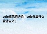 yolo意思相近的（yolo代表什么爱情含义）
