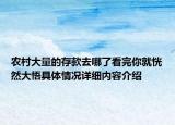 农村大量的存款去哪了看完你就恍然大悟具体情况详细内容介绍