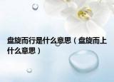 盘旋而行是什么意思（盘旋而上什么意思）