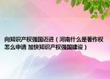 向知识产权强国迈进（河南什么是著作权怎么申请 加快知识产权强国建设）