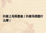 抖音上毛哥是谁（抖音毛领是什么梗）