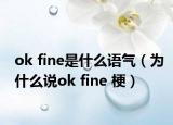 ok fine是什么语气（为什么说ok fine 梗）
