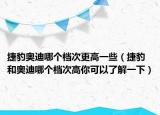 捷豹奥迪哪个档次更高一些（捷豹和奥迪哪个档次高你可以了解一下）