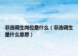 非选调生岗位是什么（非选调生是什么意思）