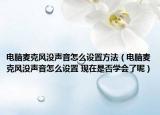 电脑麦克风没声音怎么设置方法（电脑麦克风没声音怎么设置 现在是否学会了呢）