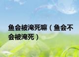 鱼会被淹死嘛（鱼会不会被淹死）