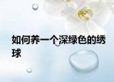 如何养一个深绿色的绣球